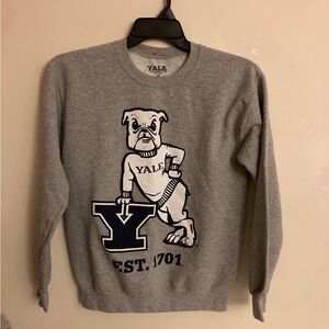 Yale Gray Crewneck Sweater smal women/men
